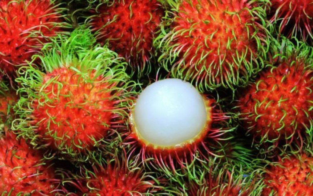 exotic fruits vietnam